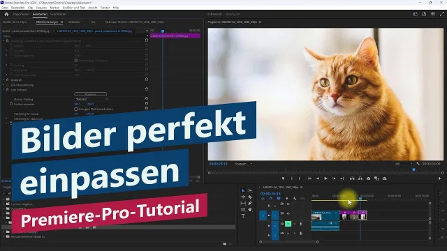 Clips und Bilder in Frame einpassen und zentrieren mit Auto Reframe – Premiere-Pro-Tutorial