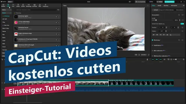 Videos kostenlos schneiden mit CapCut – Tutorial für Videoschnitt-Anfänger