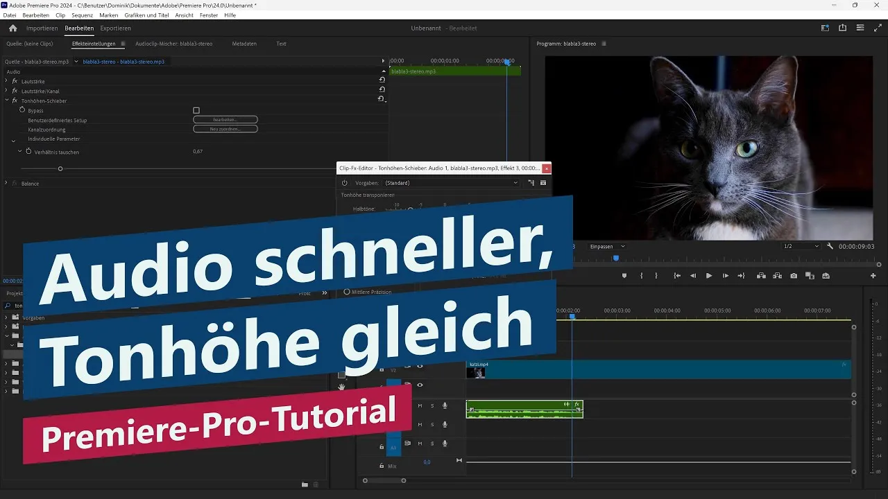 Audio schneller machen, Tonhöhe beibehalten – Premiere-Pro-Tutorial