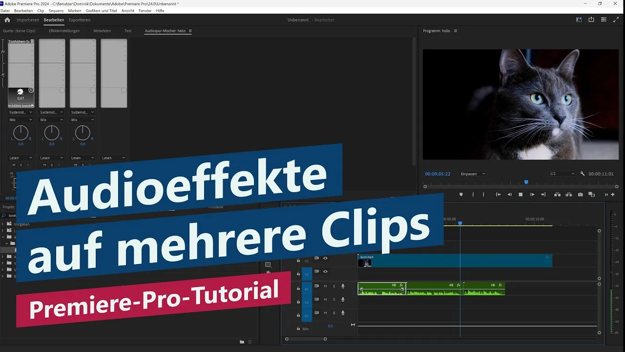 Audioeffekt auf mehrere Clips anwenden (Audiospur-Mischer) – Premiere-Pro-Tutorial