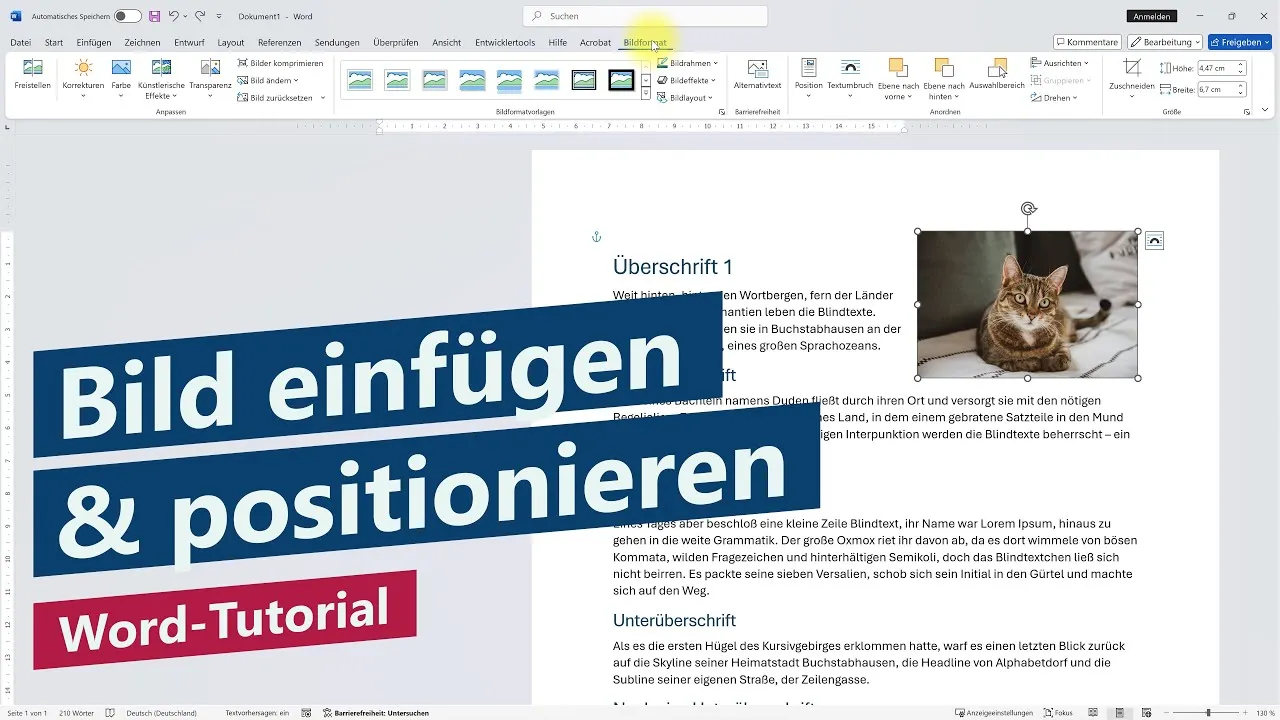 Bild einfügen und Textumbruch mit Objektanker einstellen – Word-Tutorial