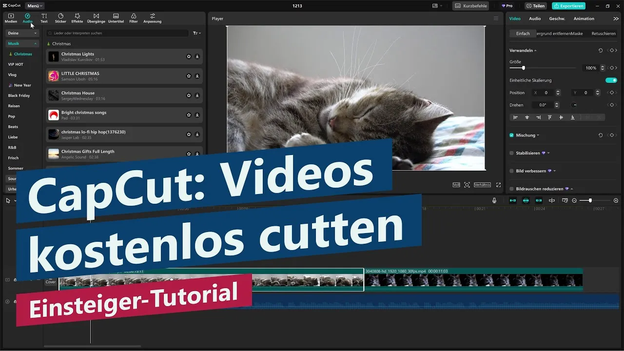 Videos kostenlos schneiden mit CapCut – Tutorial für Videoschnitt-Anfänger